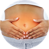 Gut Gut