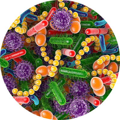 Microbiome