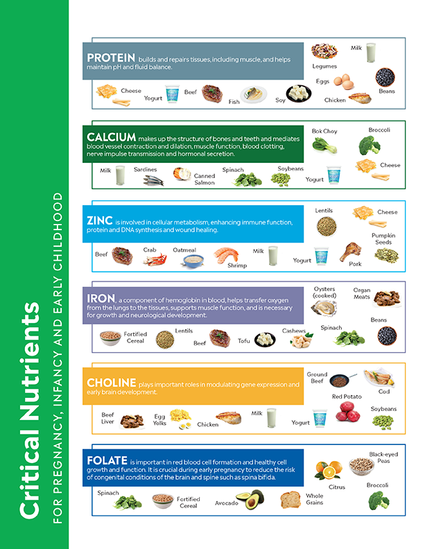 TABLE_CriticalNutrients_Page1 
