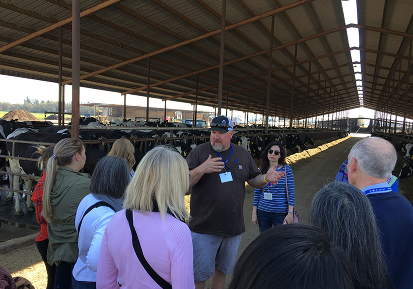 Dairy Advocacy trainings are available to aid in effective storytelling.