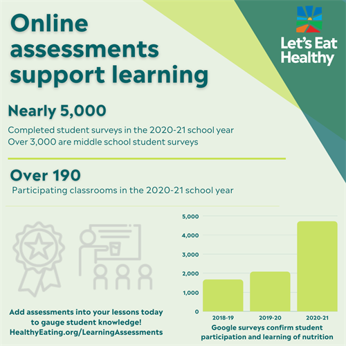 Supporting student learning with online assessments Supporting student learning with online assessments