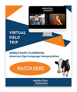 VFT_ASL_ProcCatCard