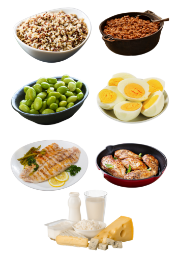 HETABLE2025_ProteinFoods