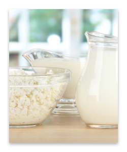 DairyFoodGroup_ProdCatCard