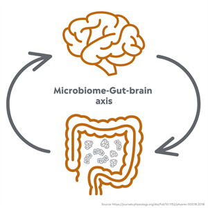 IndustryTrends2022_Infographic2_B Read how the dairy food matrix improves gut health.