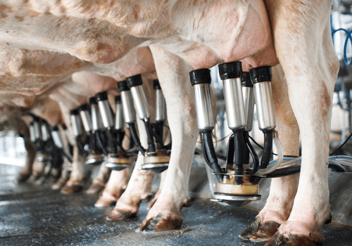 Trends2025_Trend4_Image2