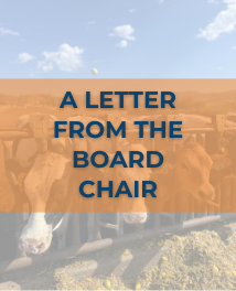 Board Chair Letter Board Chair Letter