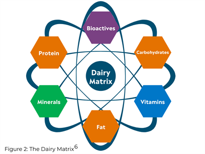 Dairy Matrix Dairy Matrix